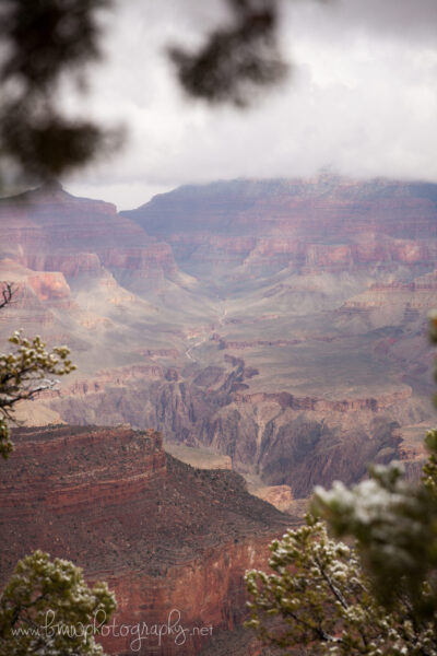 Landscape photography of Grand Canyon