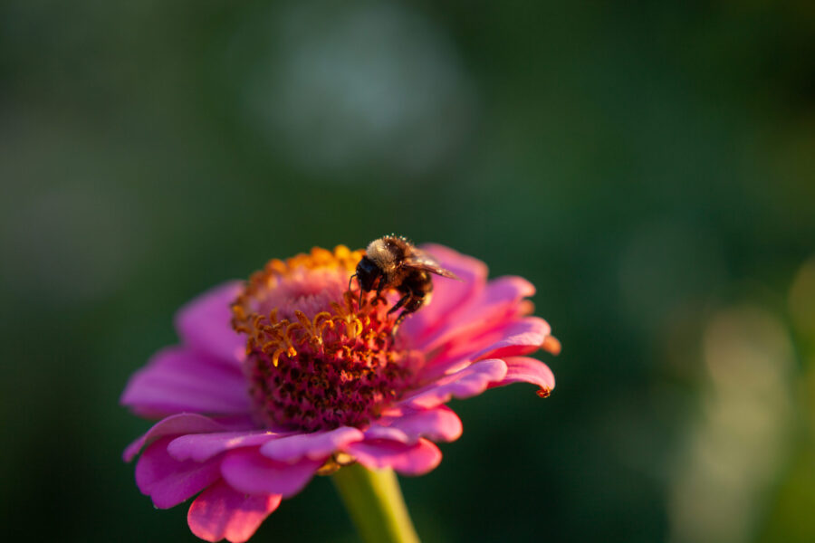 Vancouver, Washington Photographer